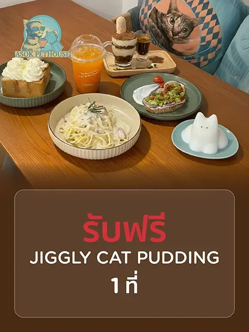 อโศก เพท เฮ้าส์